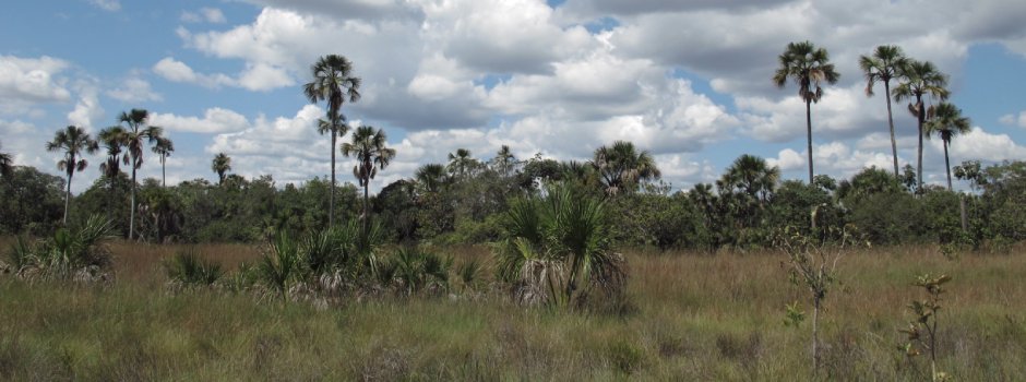 Minas Gerais lidera criação de RPPNs no Brasil com 397 reservas 1 Minas Gerais continua a ser o estado que mais cria Reservas Particulares do Patrimônio Natural (RPPNs) no Brasil