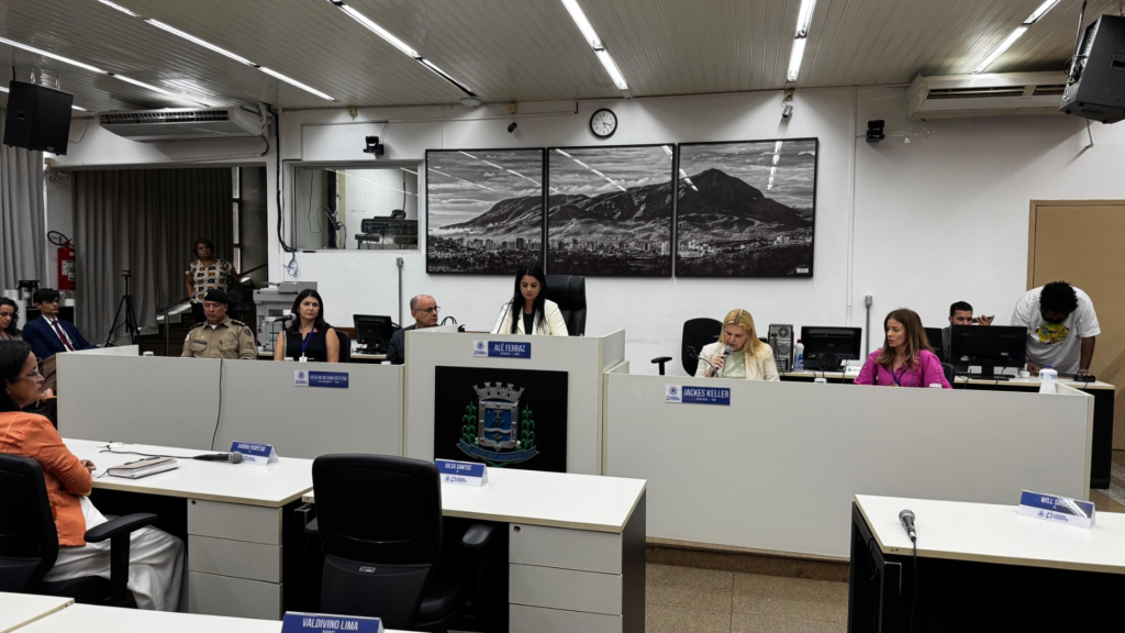 Câmara debate criação do GAR-VD para fortalecer combate á violência contra a mulher 1 image 138