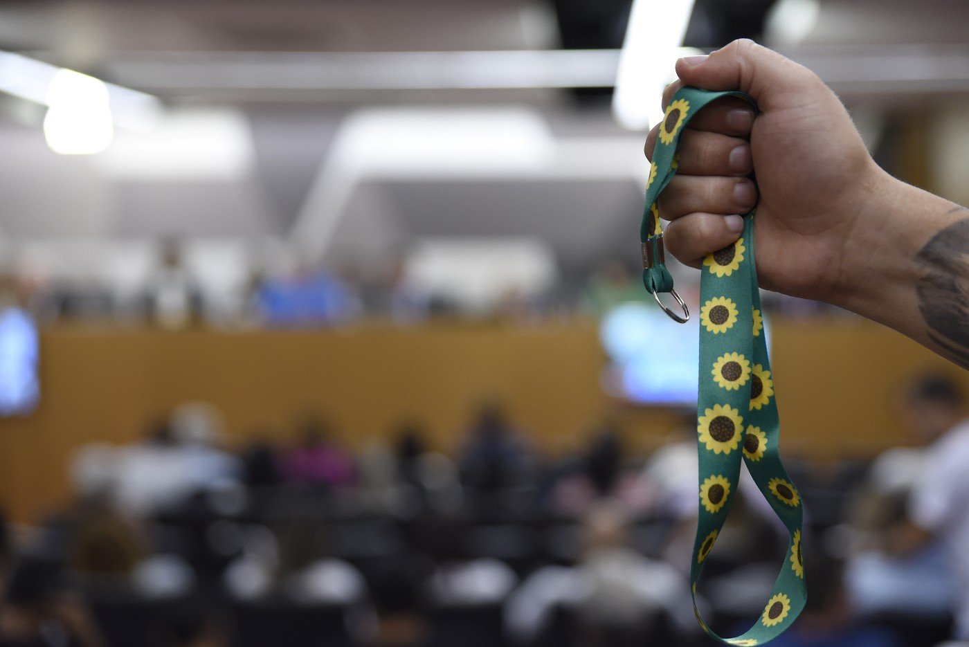 Política dos direitos da pessoa com deficiência é ampliada 1 Pessoas com TEA podem sofrer com hipersensibilidade sensorial e por isso foram contempladas por projeto que virou lei - Arquivo ALMG