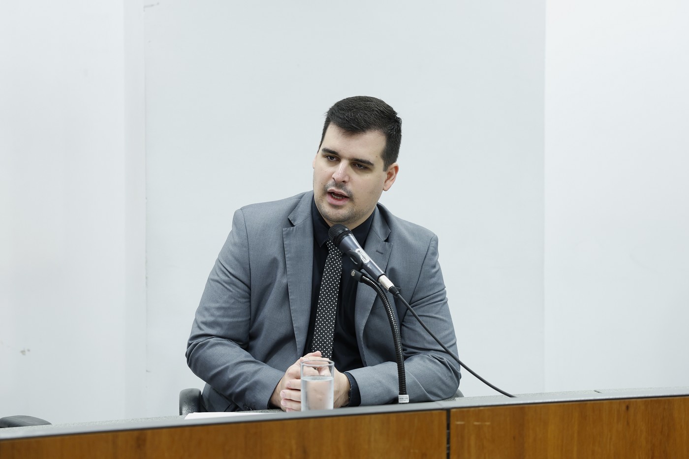 Ultrassom morfológico e detecção de eclâmpsia podem se tornar diretrizes para pré-natal
