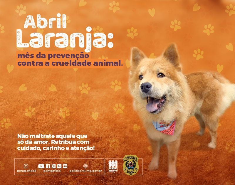 Abril Laranja: PCMG orienta para prevenir maus-tratos a animais 2 image 31