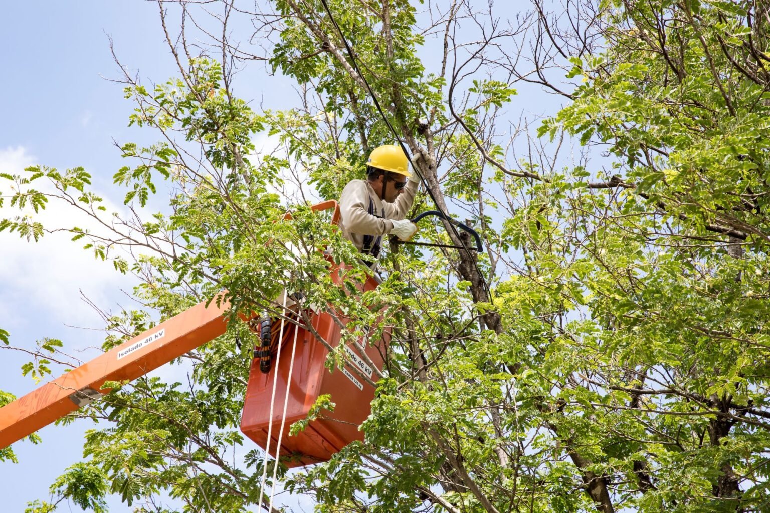 Cemig irá investir R$ 360 milhões em ações de manutenção preventiva em 2025 1 Até o final deste ano, a companhia vai realizar mais de 835 mil podas de árvores e providenciar a limpeza de mais de 50 mil km de linhas