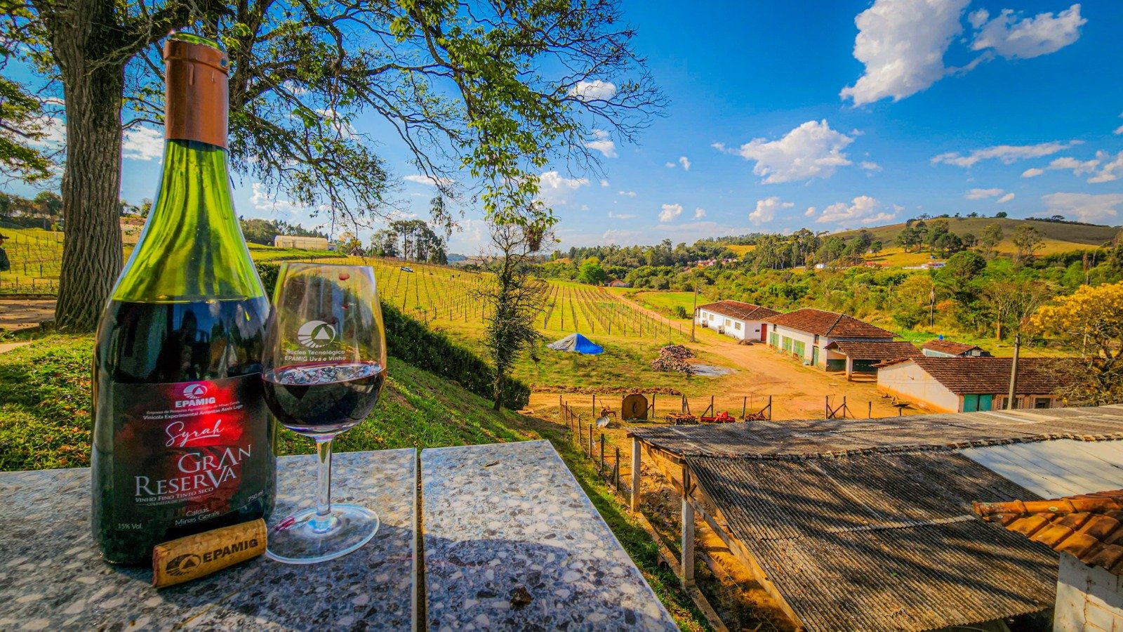 Minas Gerais estreia na Wine Trade Fair apresentando vinhos, cultura e experiências enoturísticas 