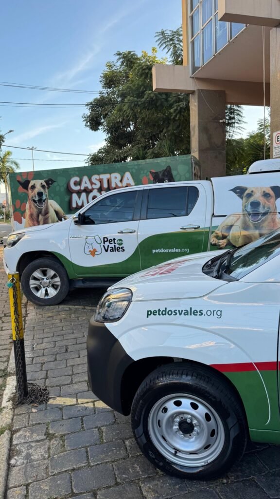 PET Saúde GV é lançado em Valadares e consolida política pública permanente para proteção animal 1 17491601382908046610300984036984
