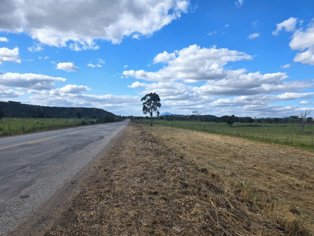 Mutirão da Limpeza da Nova 381 retira cerca 155 toneladas de lixo e entulho da rodovia 3 image 281
