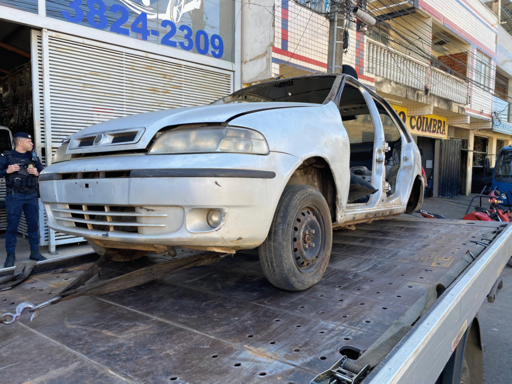 Prefeitura de Ipatinga realiza 2ª etapa da operação de recolhimento de veículos abandonados em vias públicas 4 image 119