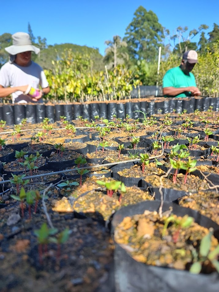Tecnologia e apoio ao produtor fazem Minas Gerais saltar de 281 para 28 mil imóveis regularizados no Cadastro Ambiental Rural 1 image 204
