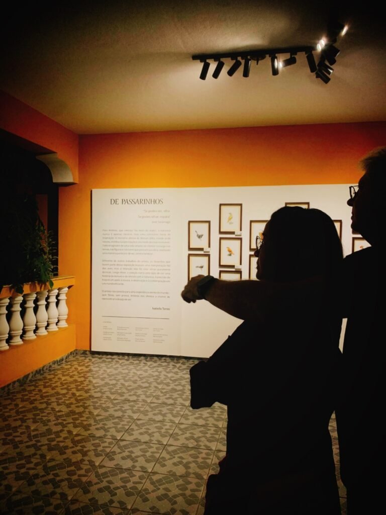 Exposição ‘De Passarinhos’ inaugura novo espaço cultural em Governador Valadares 3 17560436144719002099424247905014