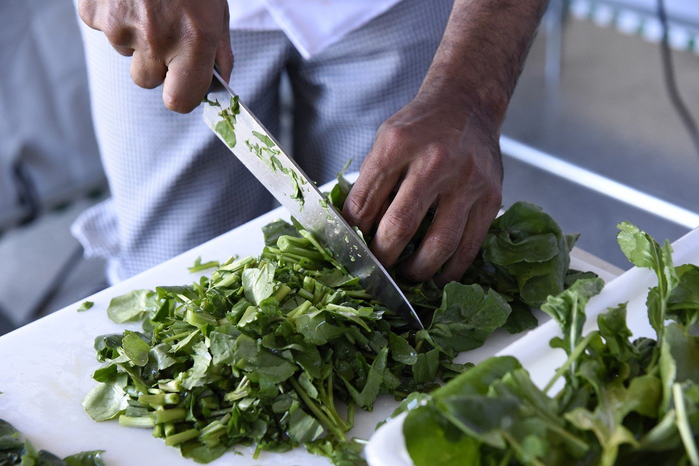Inspeção de produtos de origem vegetal vira lei 2 Inspeção de produtos de origem vegetal vira lei