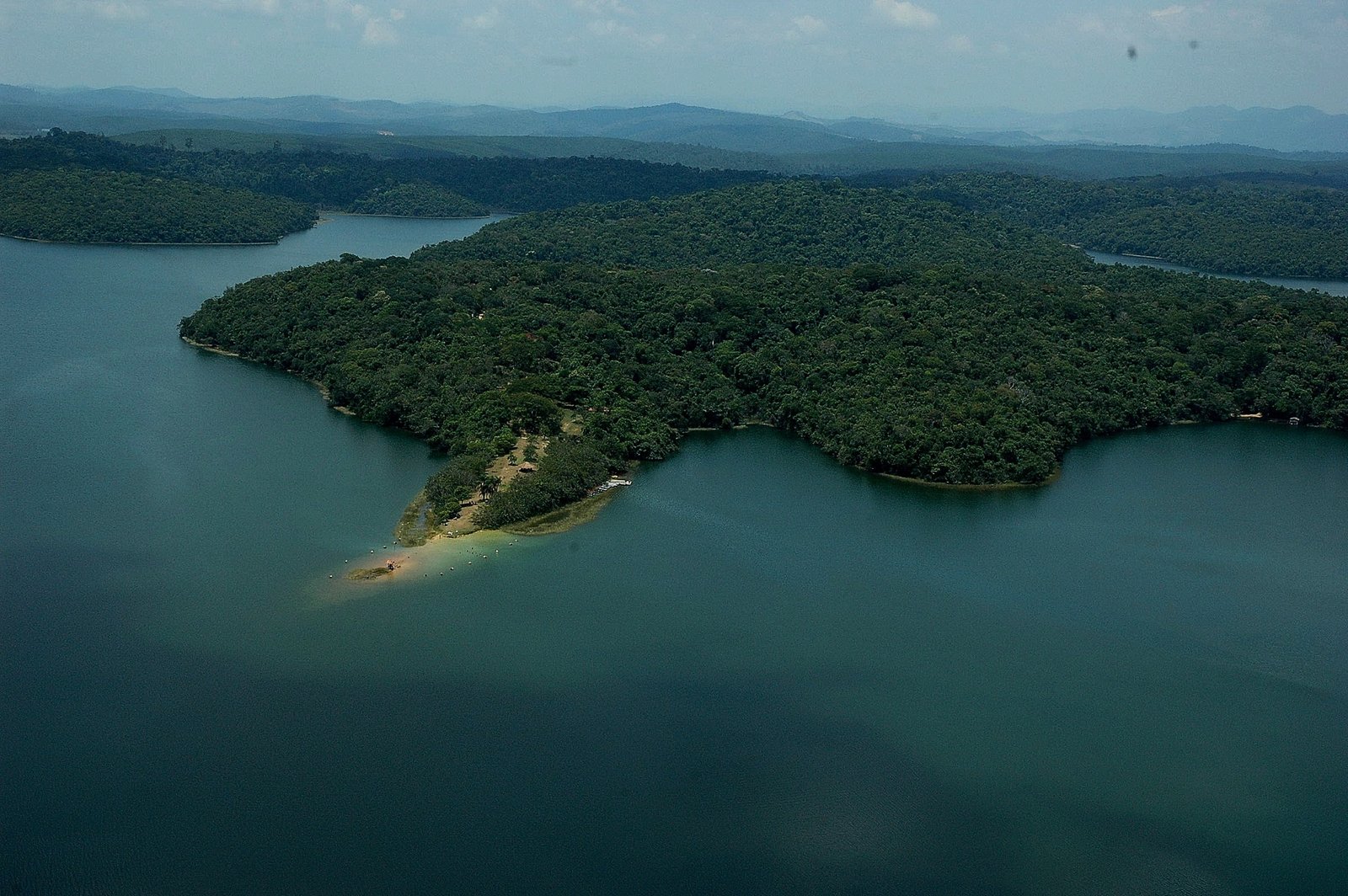 Minas avança no reflorestamento e ultrapassa 70% da meta de restauração da Mata Atlântica