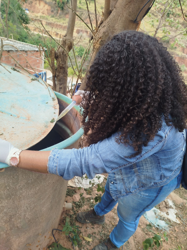 Aedes aegypti: Ipatinga registra menor índice do LIRAa dos últimos anos, mas reforça alerta à população 1 image 253