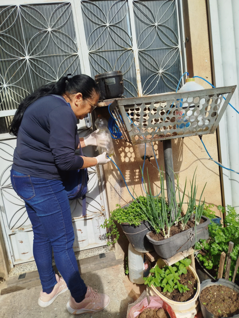 Aedes aegypti: Ipatinga registra menor índice do LIRAa dos últimos anos, mas reforça alerta à população 4 image 256