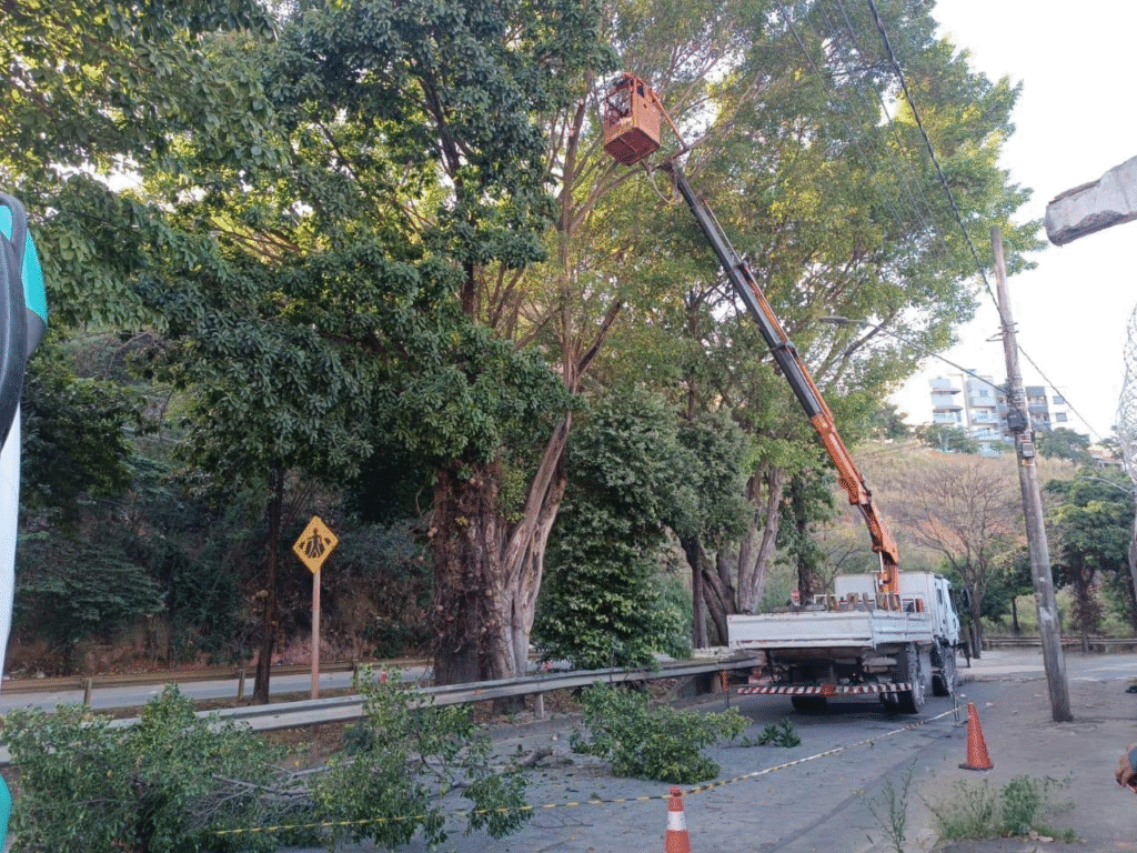Ipatinga: Trânsito na Avenida Gerasa será alterado por serviços de poda de árvores 2 image 429