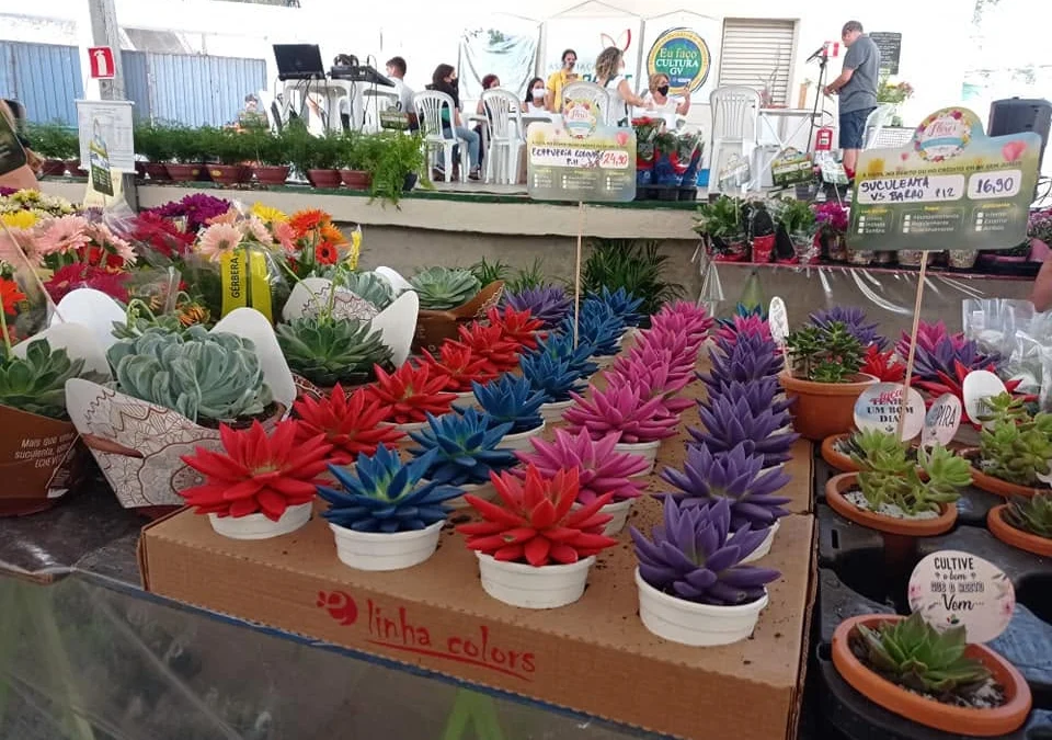 Festa das Flores começa na próxima quinta (30/7) 1 475815051_9561290187215991_8594144223961857121_n