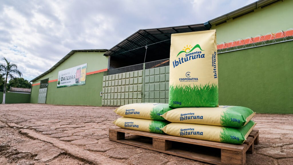 A Sementes Daterra conta com laboratório próprio, estrutura que permite acompanhar de perto os processos, avaliar lotes e reforçar