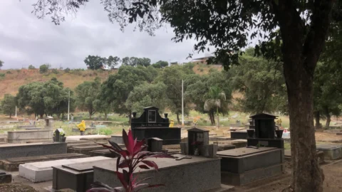 Cemitérios de Valadares recebem mutirão de limpeza nesta semana