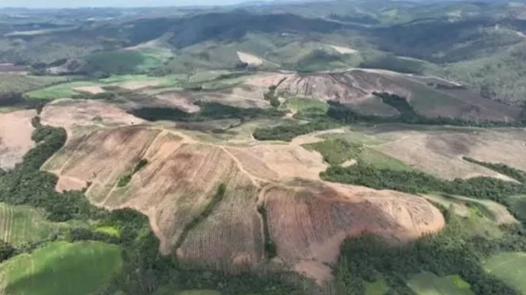Empresa anuncia aquisição bilionária em Minas 4 Empresa anuncia aquisição bilionária em Minas